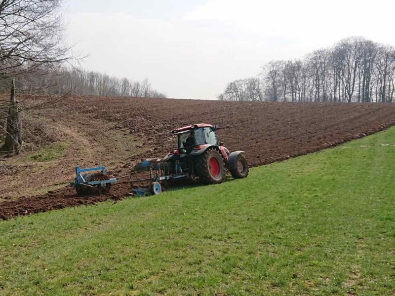 Mittag 30.3.19